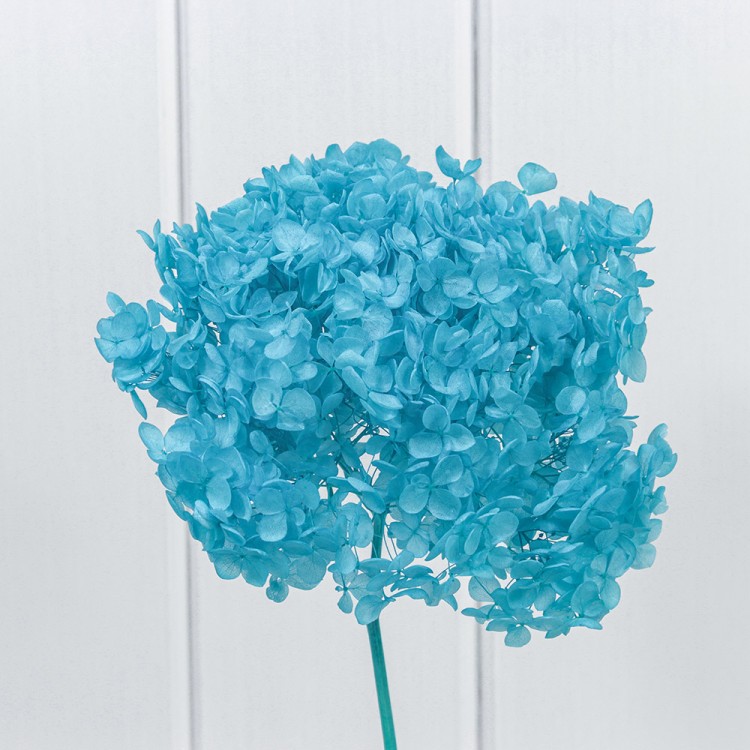 420063/3 Сухоцвет "Гортензия" 55см Голубой 1/1 1/100 420063/3 Сухоцвет "Гортензия" 55см Голубой 1/1 1/100