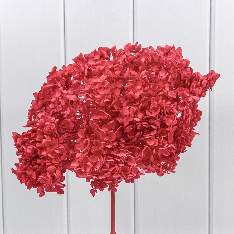 420063/4 Сухоцвет "Гортензия" 55см Красный 1/1 1/100 420063/4 Сухоцвет "Гортензия" 55см Красный 1/1 1/100