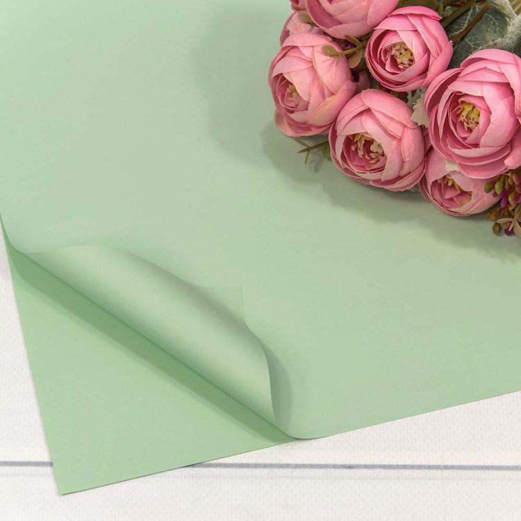 1698/559 Плёнка в листах 60*60 (20 шт.) матовая "Корейская" 55мкм Бледно-зелёный-559 1/60