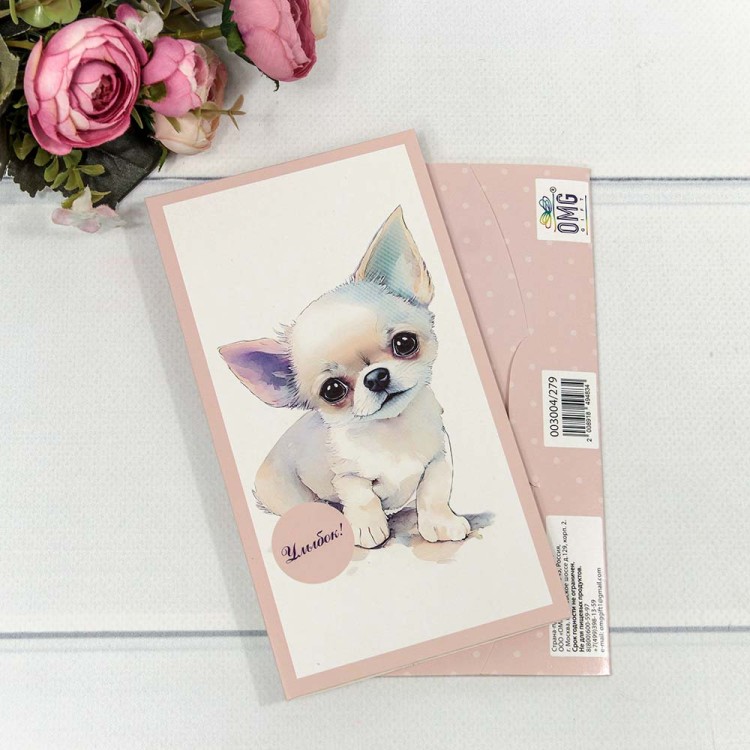 003004/279 Конверт подарочный 16,5*9см 279 1/10 1/720 003004/279 Конверт подарочный 16,5*9см 279 1/10 1/720